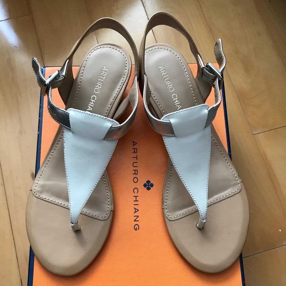Arturo Chiang Wedge Sandals